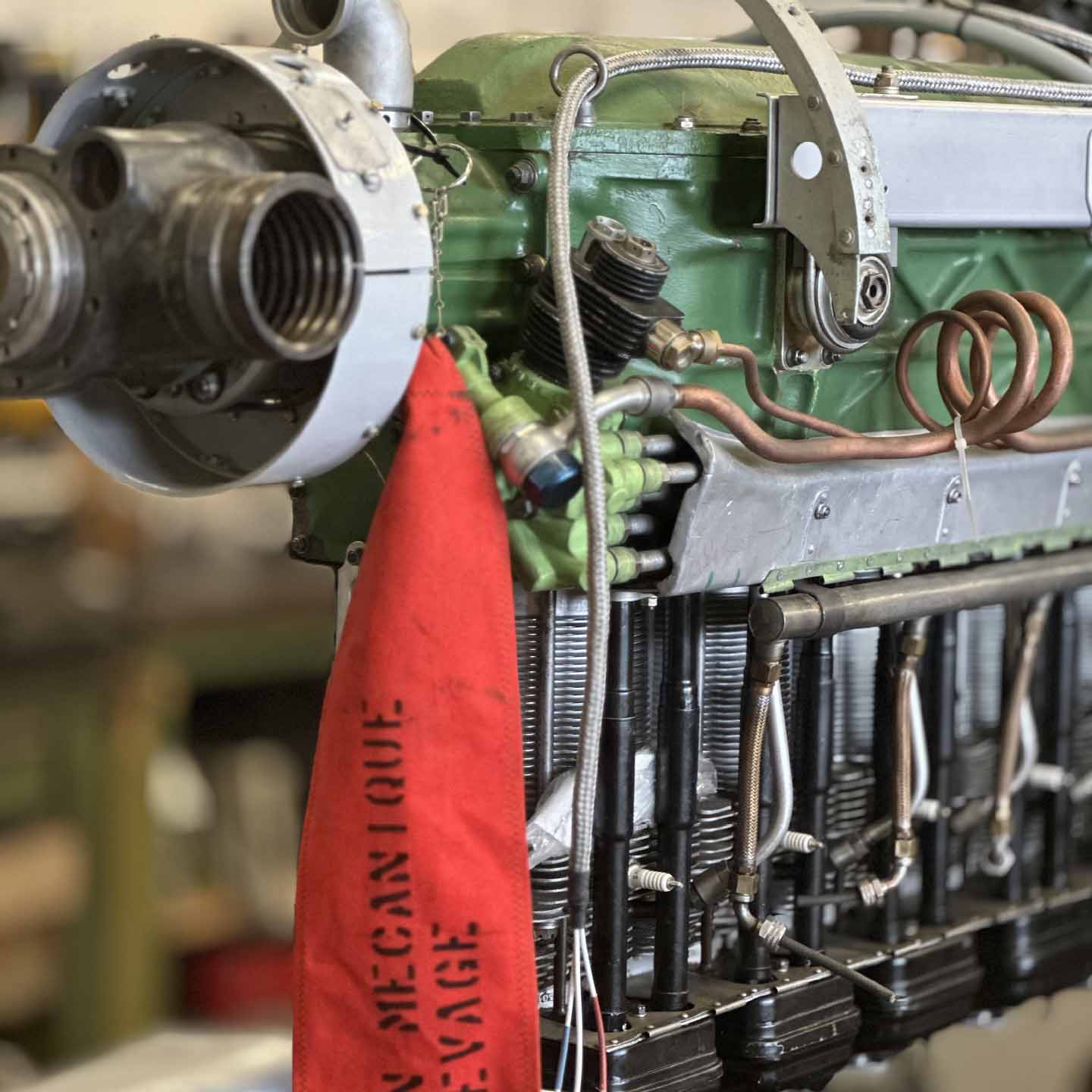 1440x1440 Projet Ailes Rouges 4